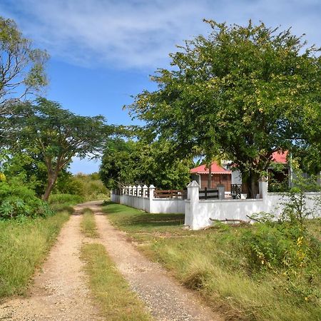 Gites Du Domaine De La Canne A Sucre Anse-Bertrand ภายนอก รูปภาพ